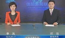 信阳今日爆料新闻视频,视频揭露惊人真相，事件详情曝光！